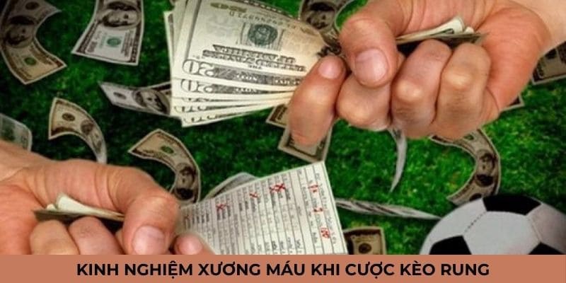 Kinh nghiệm cược kèo rung